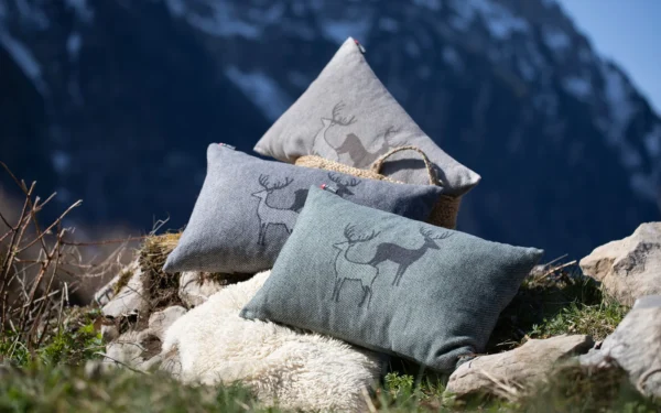 david-fussenegger-silvretta-kissenh-lle-hirschrudel-grs image 7