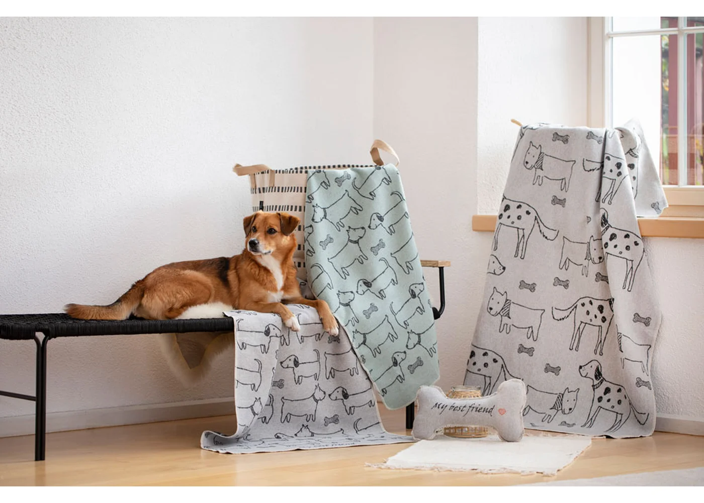 david-fussenegger-hundeknochen-my-best-friend-gro-inkl-f-llung image 7