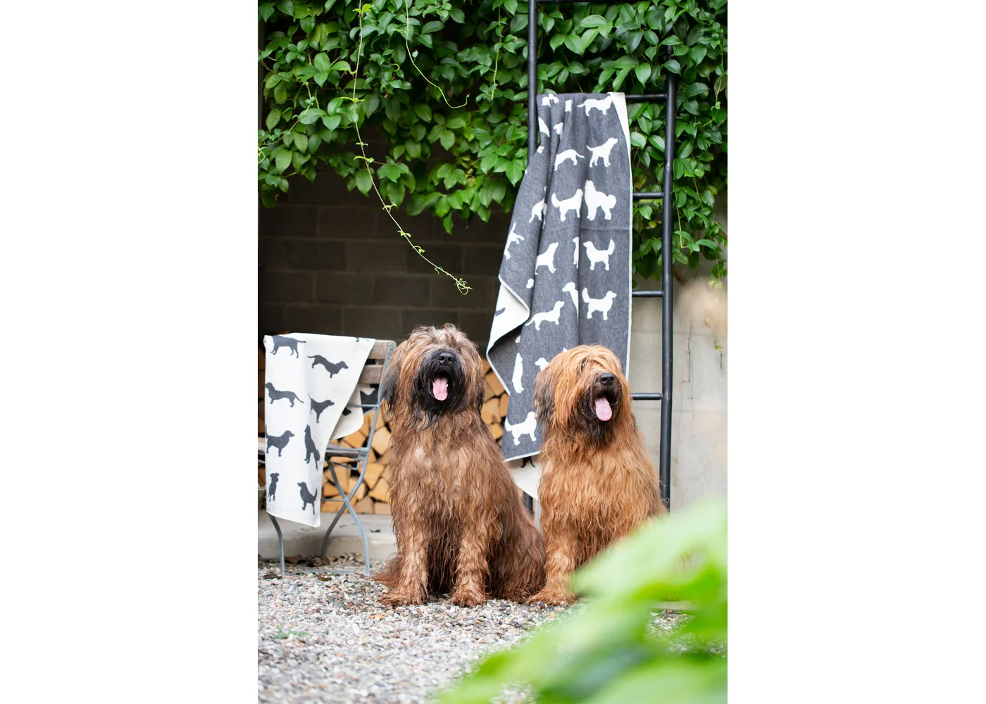 david-fussenegger-haustierdecke-hundesilhouetten-grs image 4