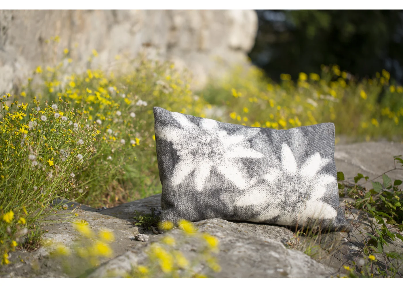 david-fussenegger-silvretta-kissenh-lle-edelwei image 3