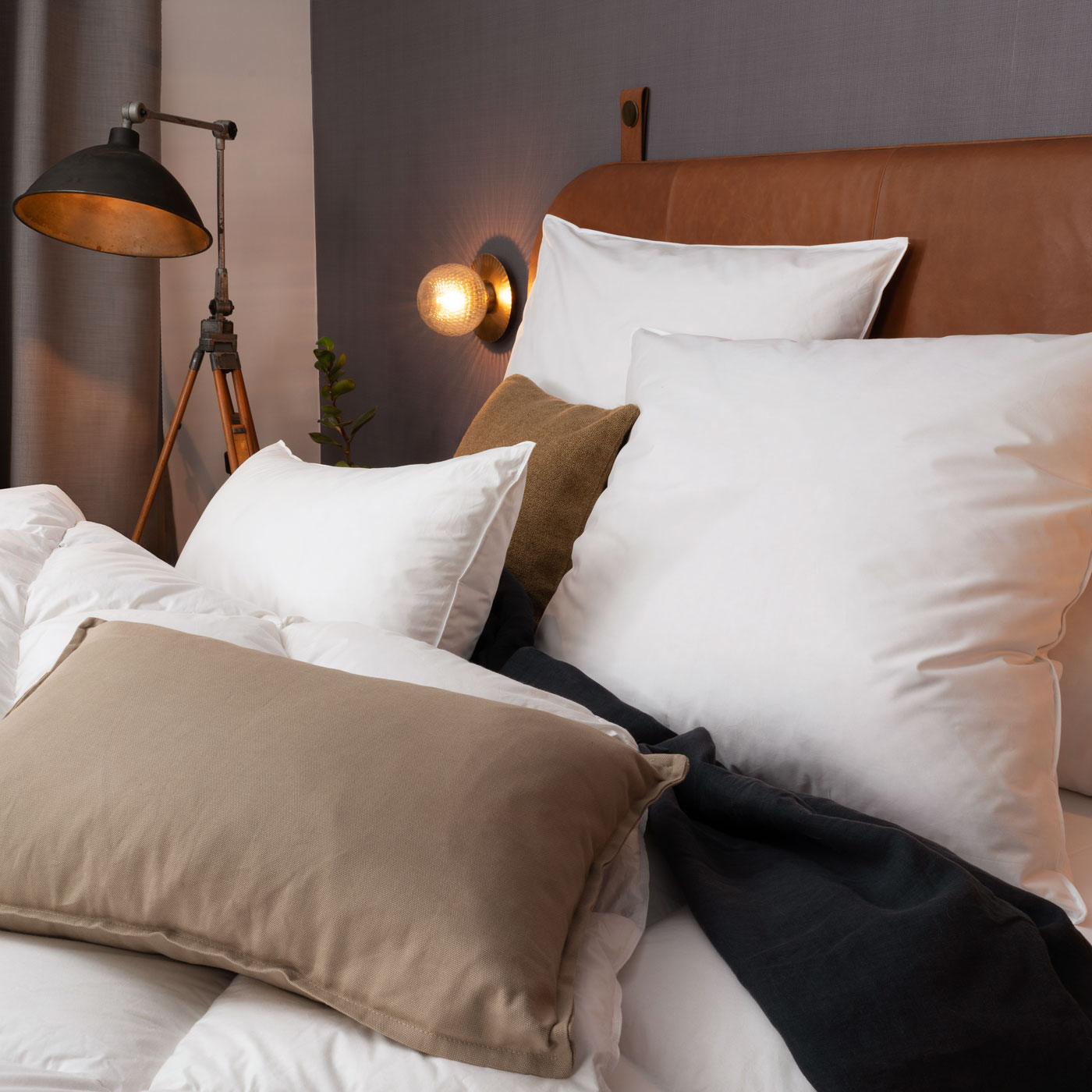 centa-star-luxury-medium-kopfkissen-mit-g-nsedaunen image 3