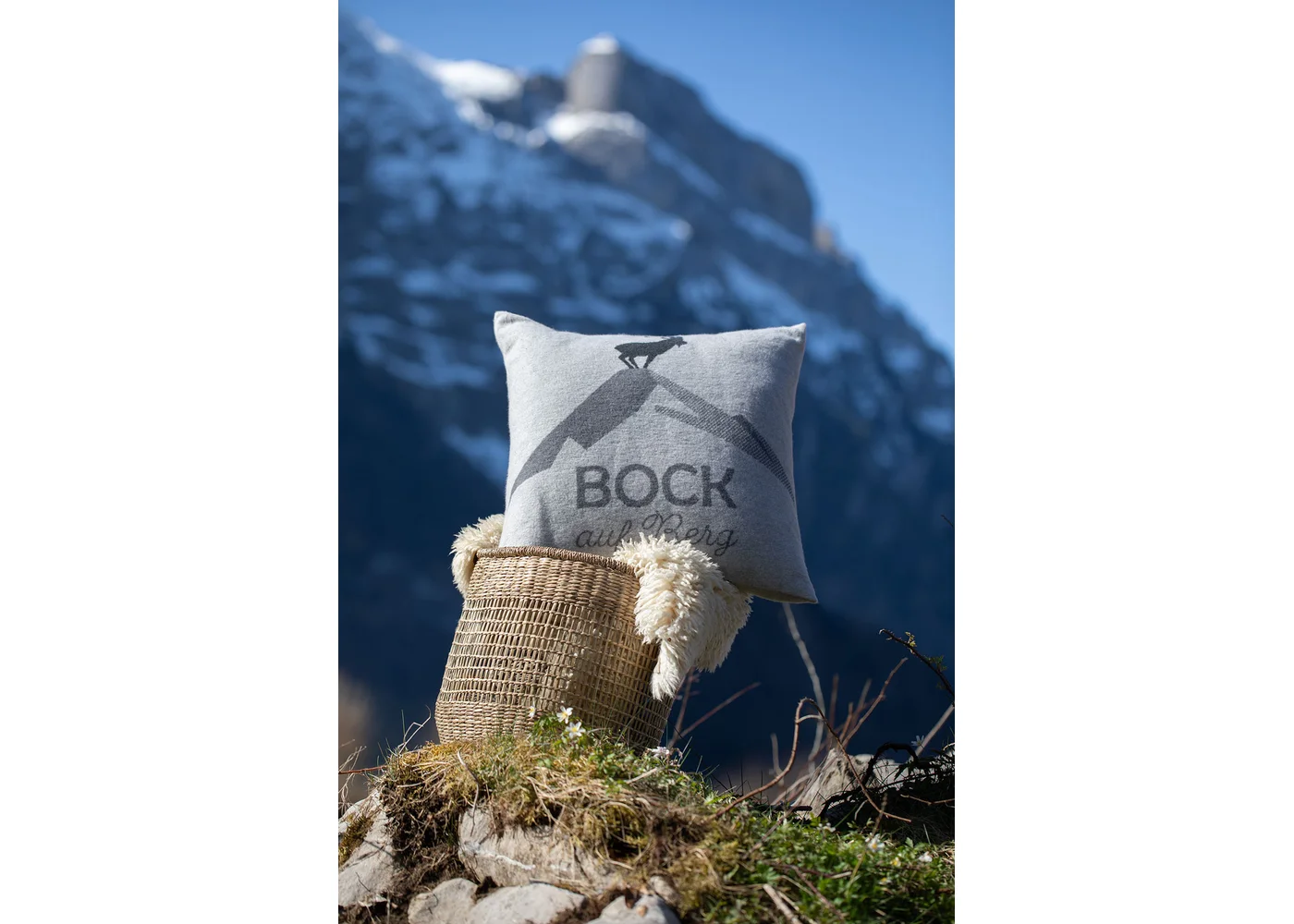 david-fussenegger-silvretta-kissenh-lle-bock-auf-berg-grs image 4