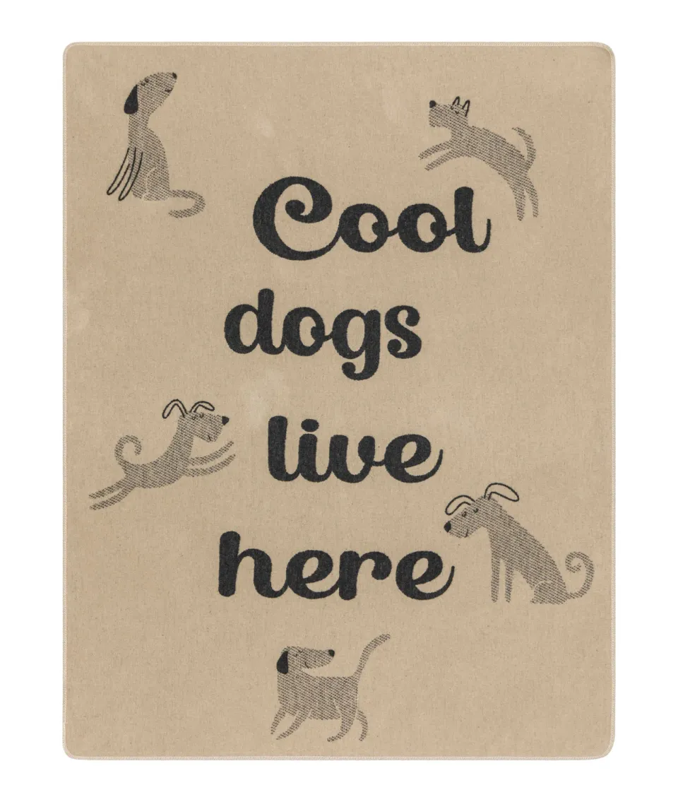 david-fussenegger-haustierdecke-cool-dogs-live-here-grs image 1