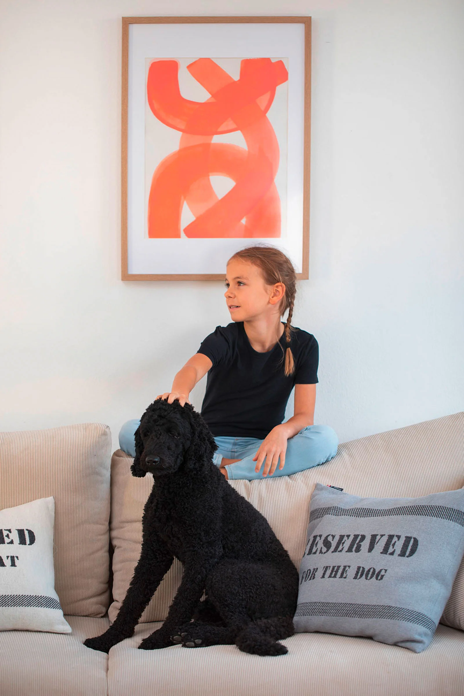 david-fussenegger-nova-kissenh-lle-reserved-for-the-dog-grs image 4