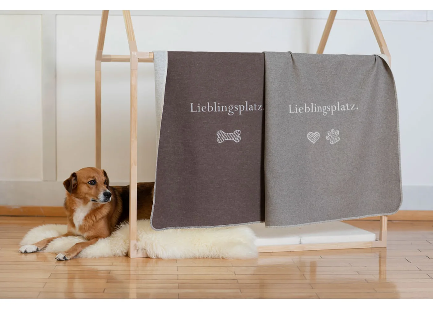 david-fussenegger-haustierdecke-lieblingsplatz-katze-grs image 3