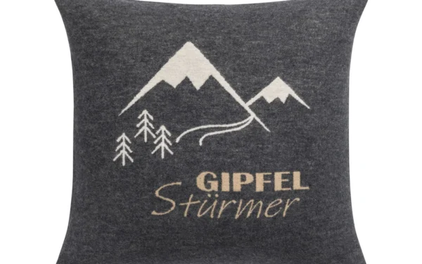 david-fussenegger-silvretta-kissenh-lle-gipfelst-rmer-grs image 4