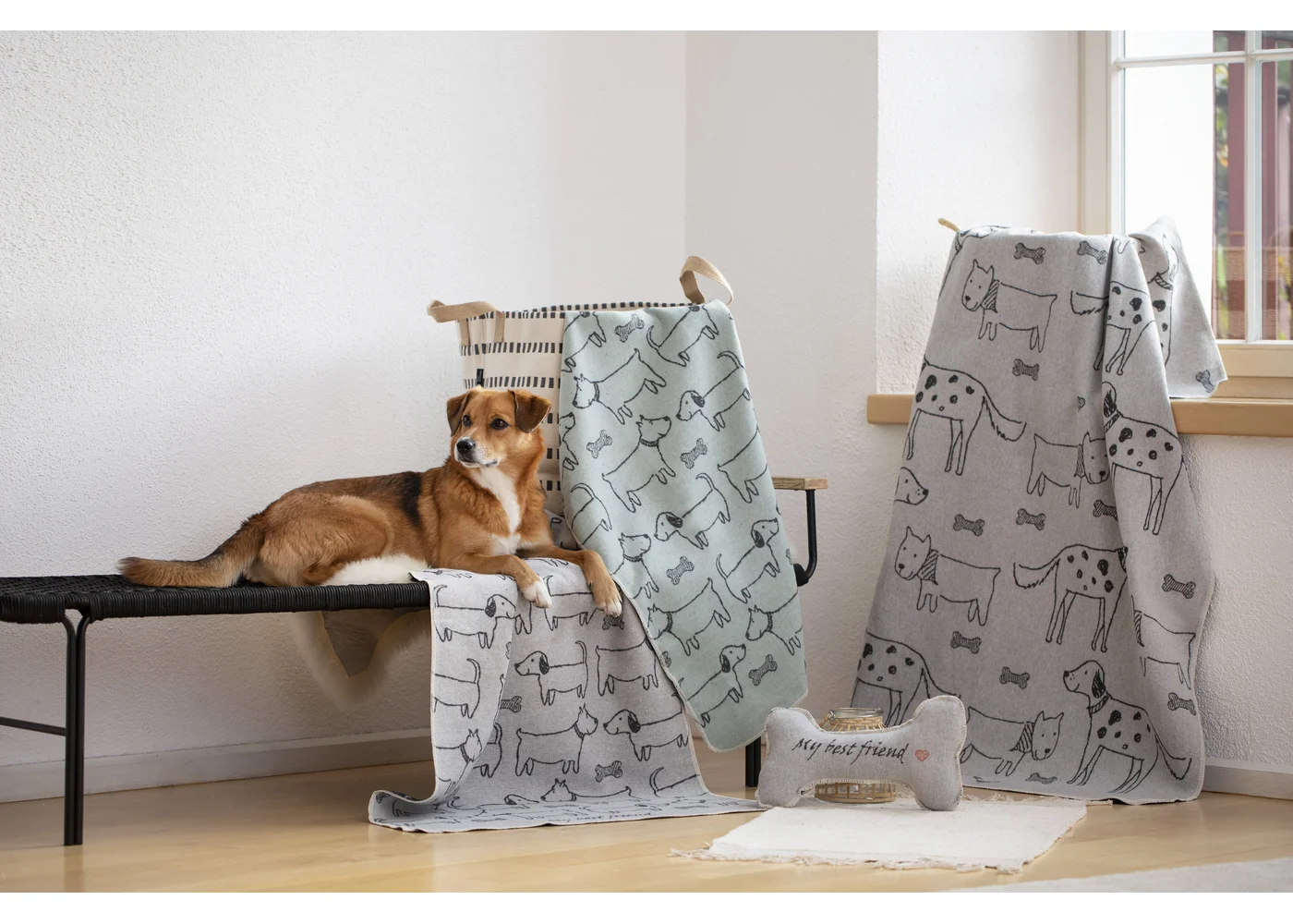 david-fussenegger-hundeknochen-my-best-friend-gro-inkl-f-llung image 3