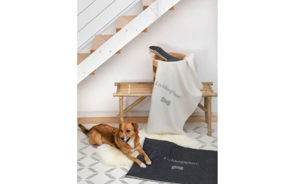 david-fussenegger-hundematte-lieblingsplatz-gross-gef-ttert-grs image 6