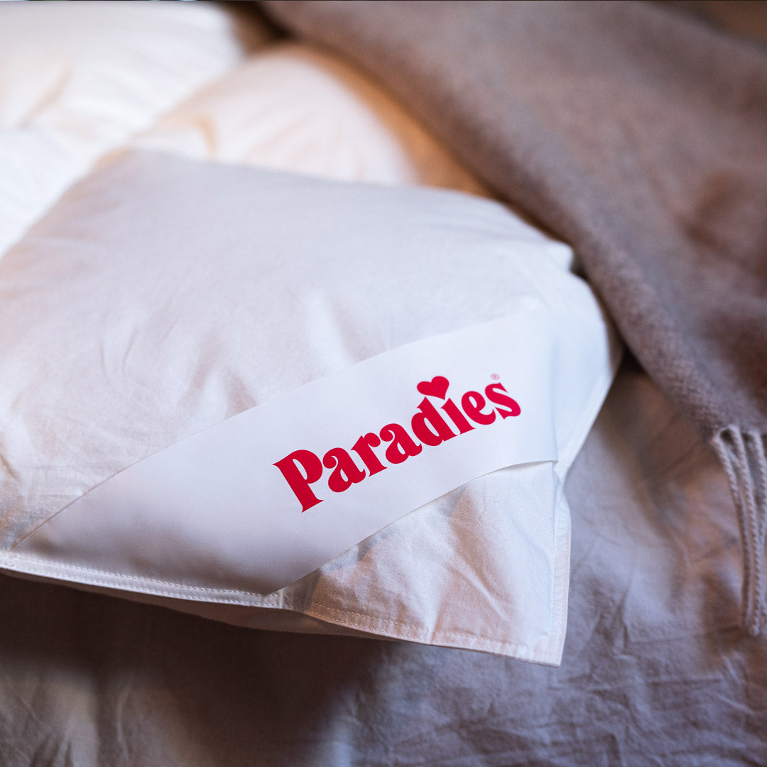 paradies-gabi-90-winter-daunendecke-135x200-155x220-cm image 4