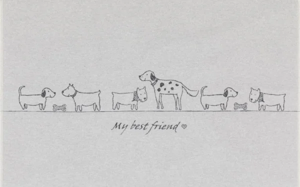 david-fussenegger-hundematte-my-best-friends-grs-gro-gef-ttert image 5
