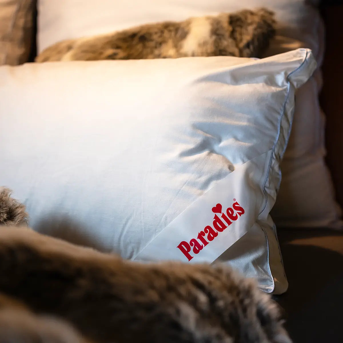 paradies-softy-top-fest-kopfkissen image 6