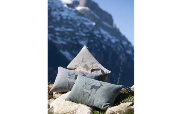 david-fussenegger-silvretta-kissenh-lle-hirschrudel-grs image 8