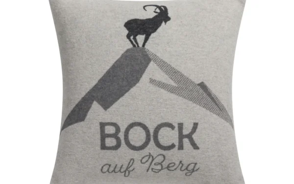 david-fussenegger-silvretta-kissenh-lle-bock-auf-berg-grs image 5