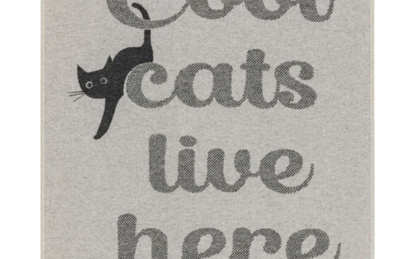 david-fussenegger-haustierdecke-cool-cats-grs image 6