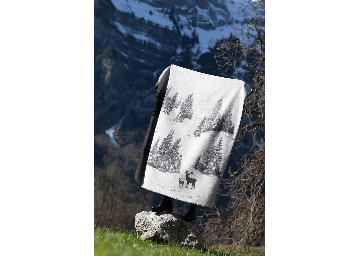 david-fussenegger-savona-wohndecke-hirsch-im-bergwald-grs image 8