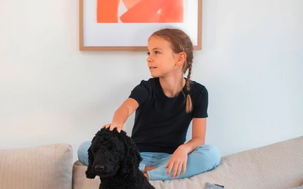 david-fussenegger-nova-kissenh-lle-reserved-for-the-dog-grs image 8