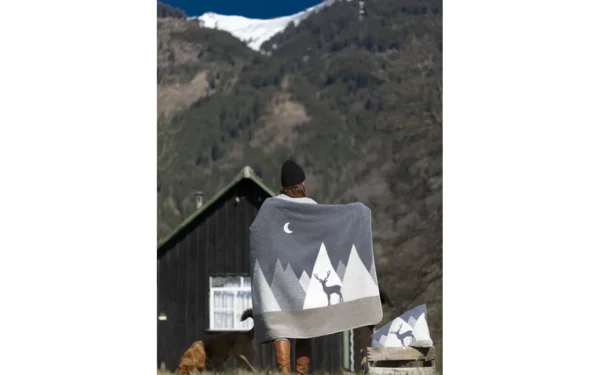 david-fussenegger-silvretta-kissenh-lle-berge-modern-grs image 8