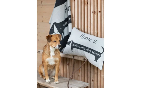 david-fussenegger-haustierdecke-dackel-home-is-grs image 8