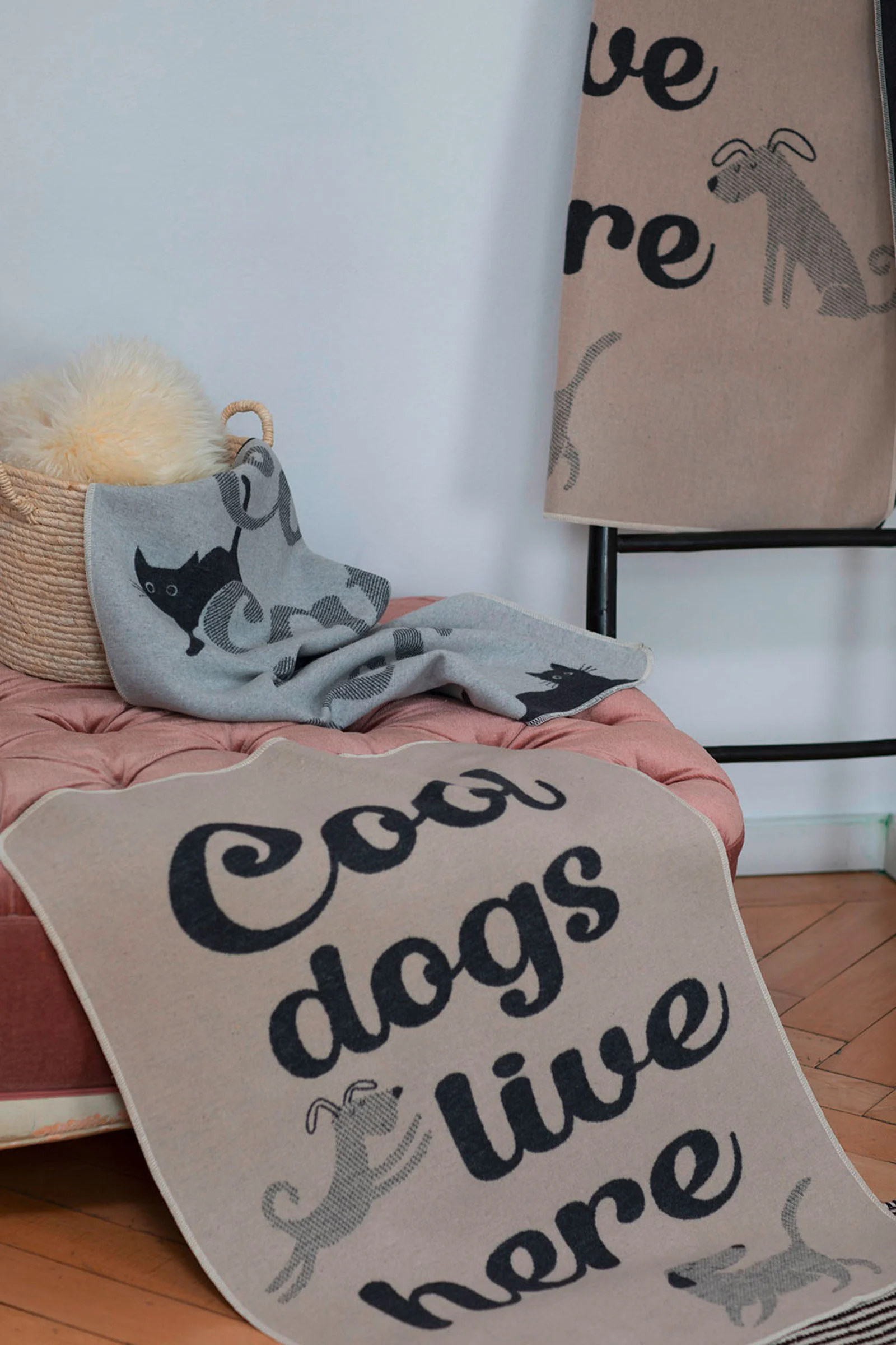 david-fussenegger-haustierdecke-cool-dogs-grs image 4