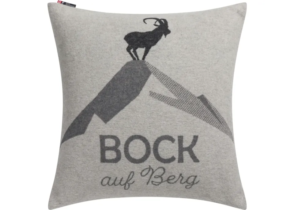david-fussenegger-silvretta-kissenh-lle-bock-auf-berg-grs image 1