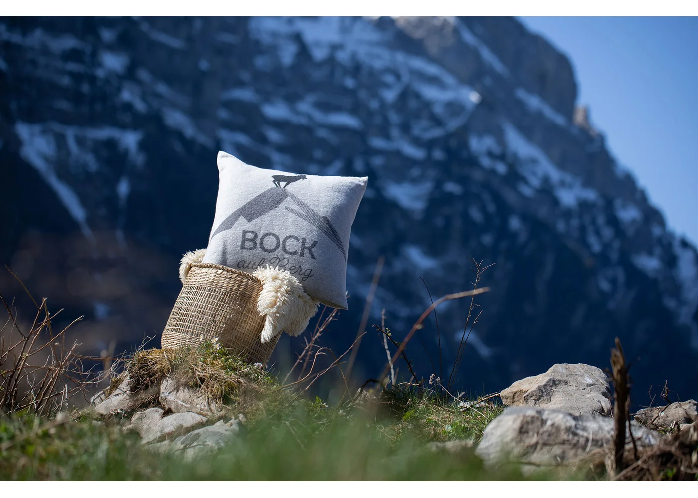 david-fussenegger-silvretta-kissenh-lle-bock-auf-berg-grs image 3