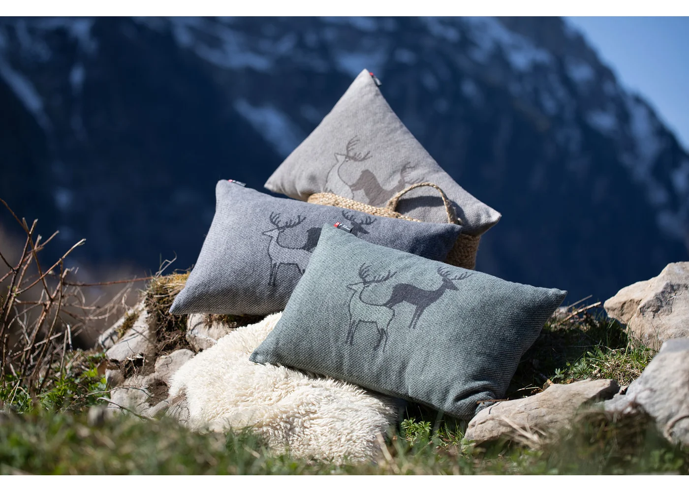 david-fussenegger-silvretta-kissenh-lle-hirschrudel-grs image 3