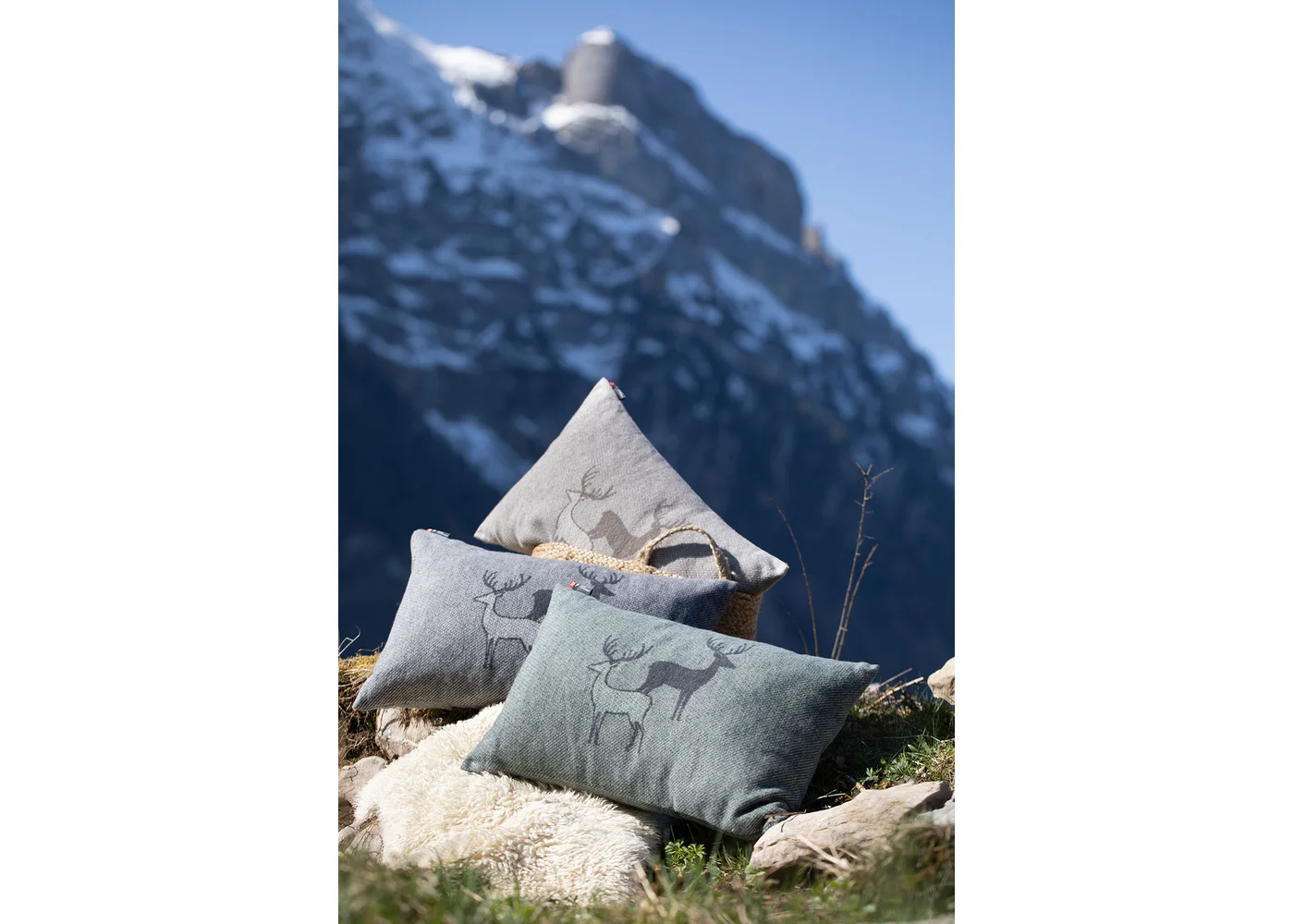 david-fussenegger-silvretta-kissenh-lle-hirschrudel-grs image 4