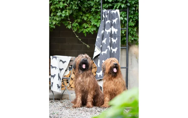 david-fussenegger-haustierdecke-hundesilhouetten-grs image 8