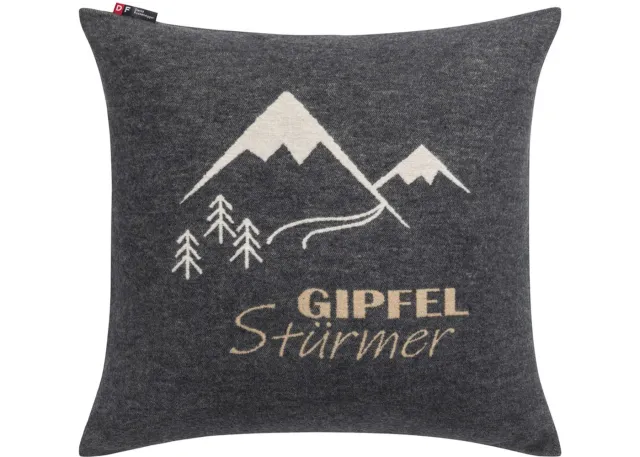 david-fussenegger-silvretta-kissenh-lle-gipfelst-rmer-grs image 1
