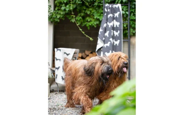 david-fussenegger-haustierdecke-hundesilhouetten-grs image 7