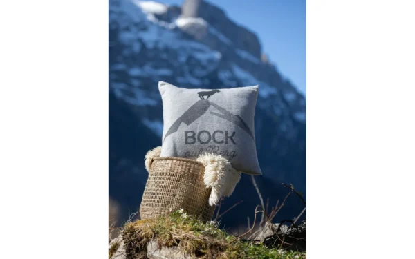 david-fussenegger-silvretta-kissenh-lle-bock-auf-berg-grs image 8