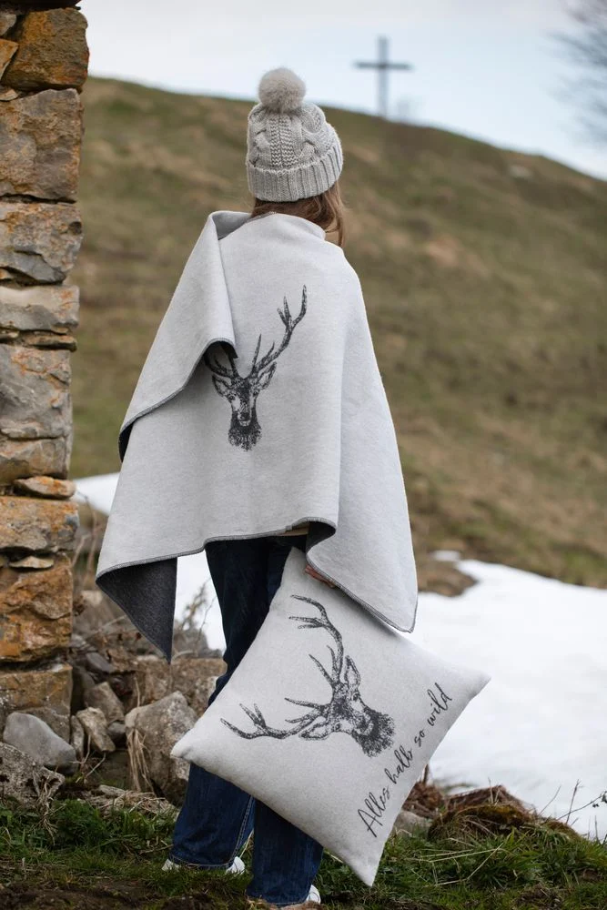 david-fussenegger-silvretta-kissenh-lle-alles-halb-so-wild-grs image 6